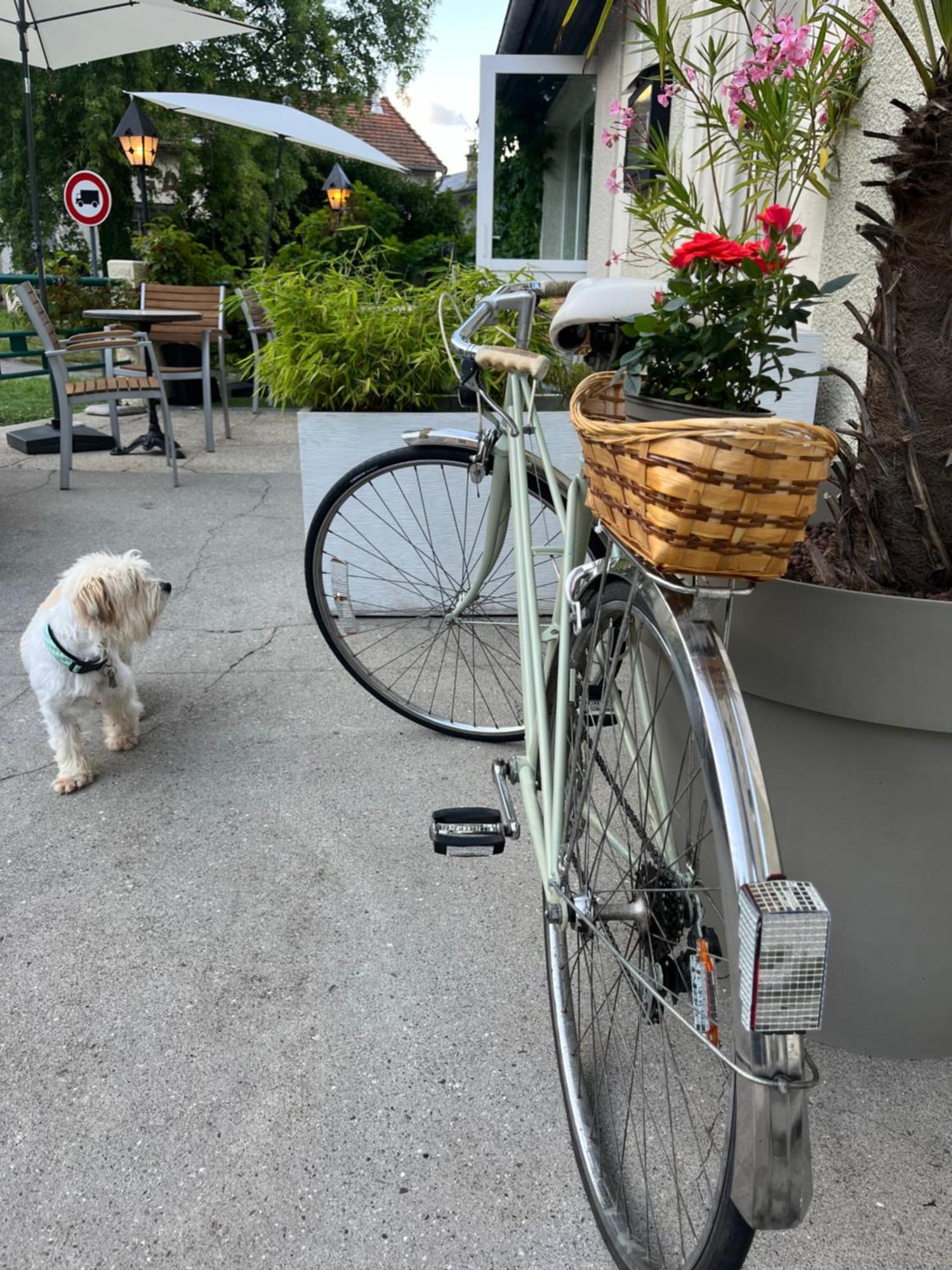 Savoy Hotel Le Bourget-du-Lac Luaran gambar